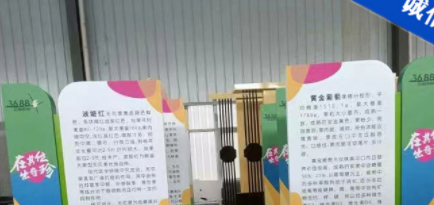 大宣传栏木纹广告栏不锈钢户外广告牌广告公司广告宣传栏 本产品采购属于商业贸易行为 举报